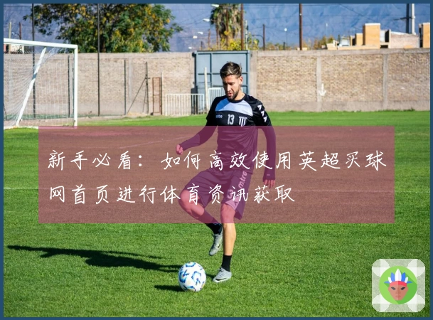 新手必看：如何高效使用英超买球网首页进行体育资讯获取