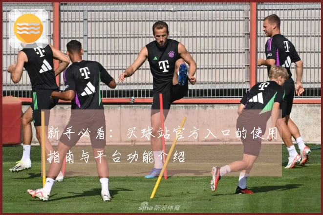 新手必看：买球站官方入口的使用指南与平台功能介绍